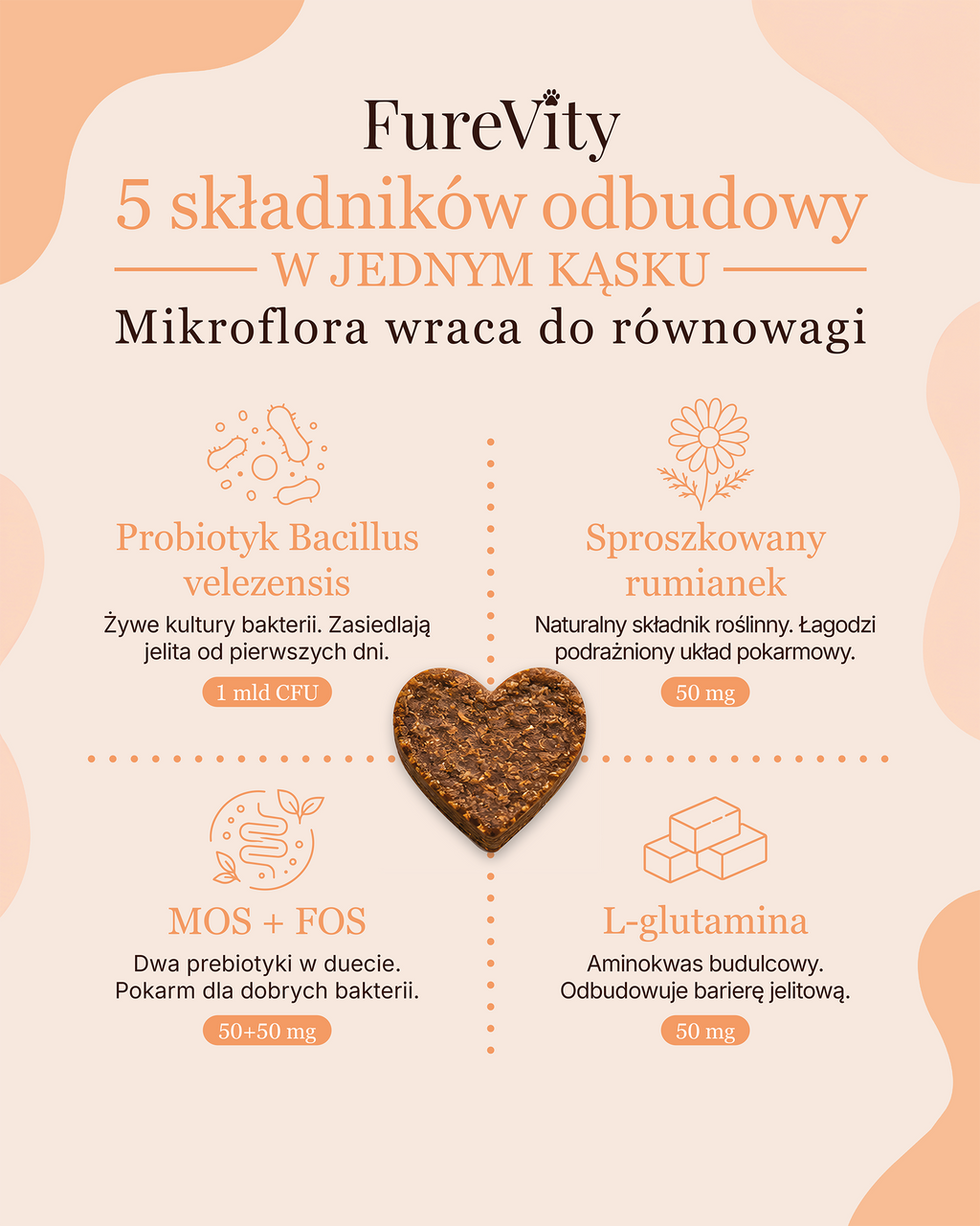 Odporny Brzuszek - odbudowa mikroflory