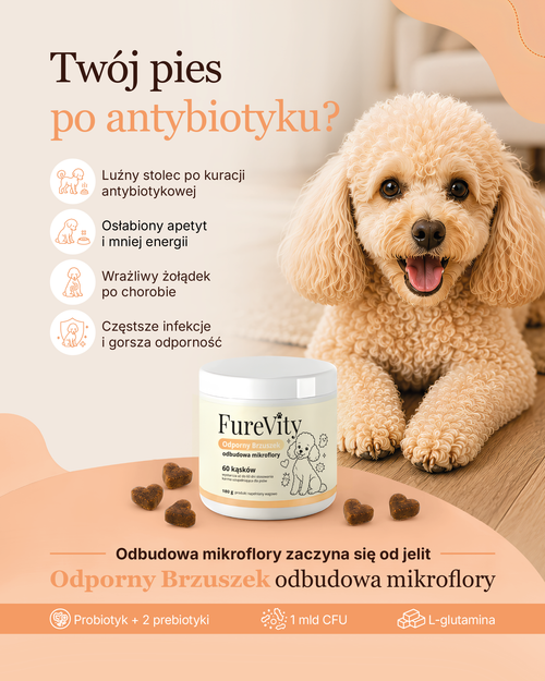 Odporny Brzuszek - odbudowa mikroflory
