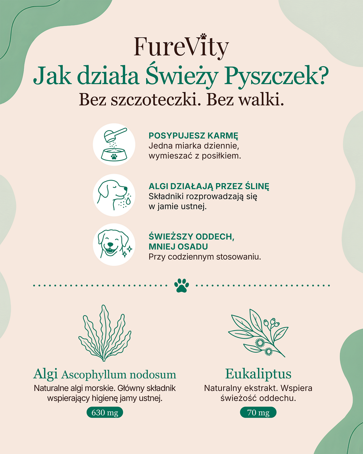 Świeży Pyszczek - zdrowe zęby i dziąsła
