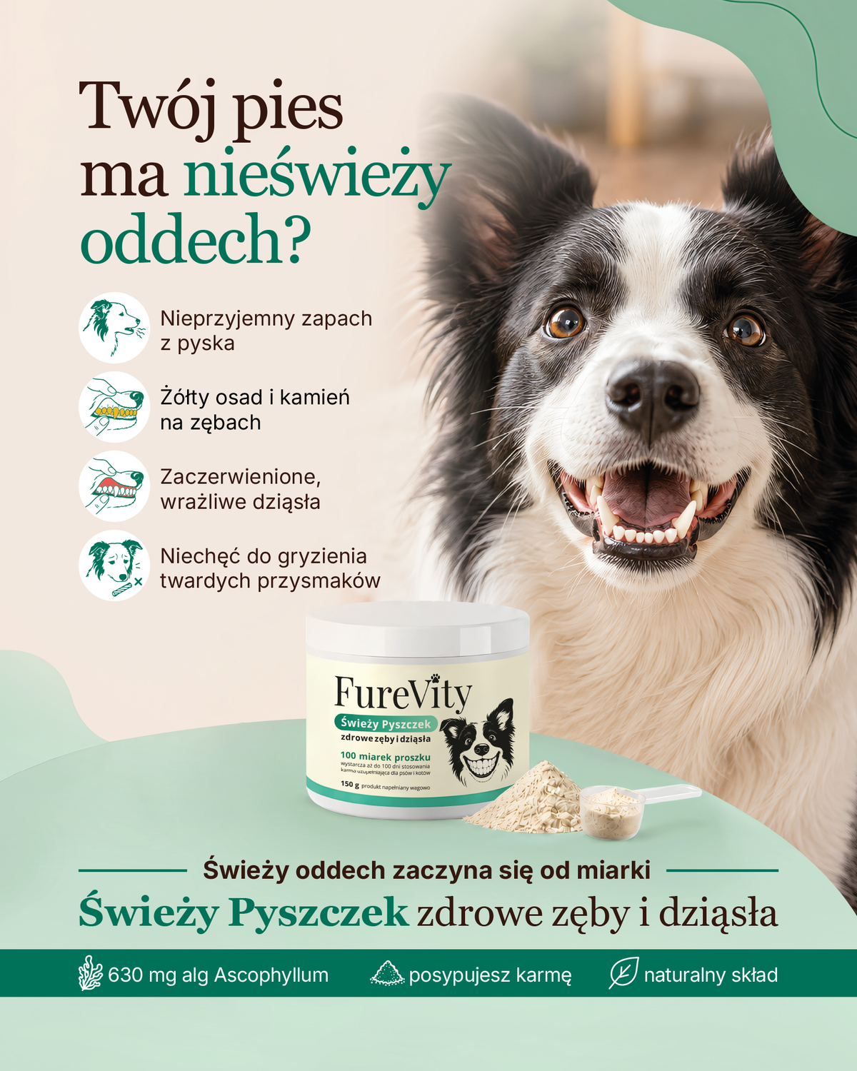 Świeży Pyszczek - zdrowe zęby i dziąsła