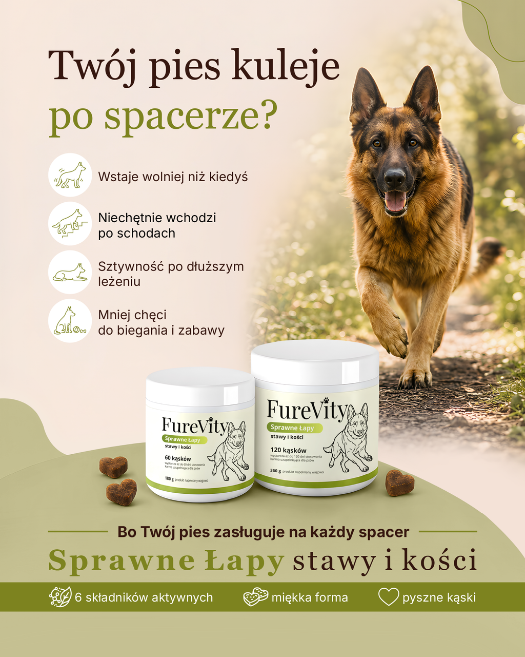 Sprawne Łapy - stawy i kości - 120 szt