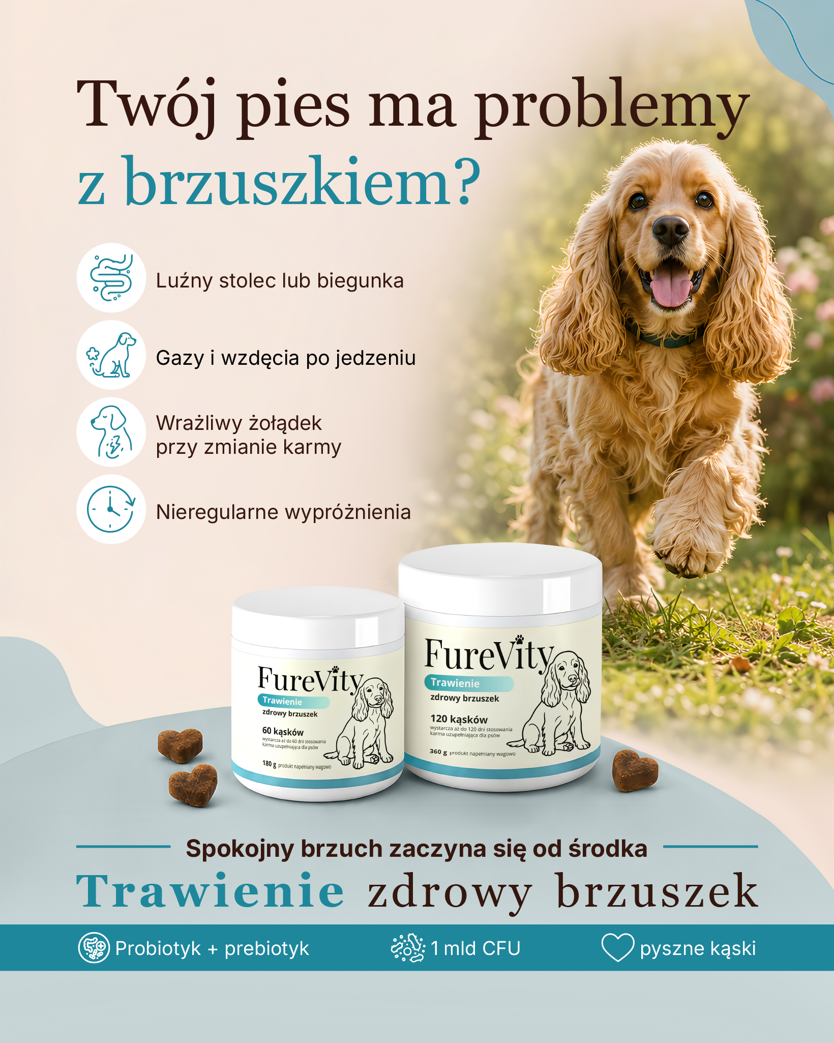 Trawienie - zdrowy brzuszek - 120 kąsków