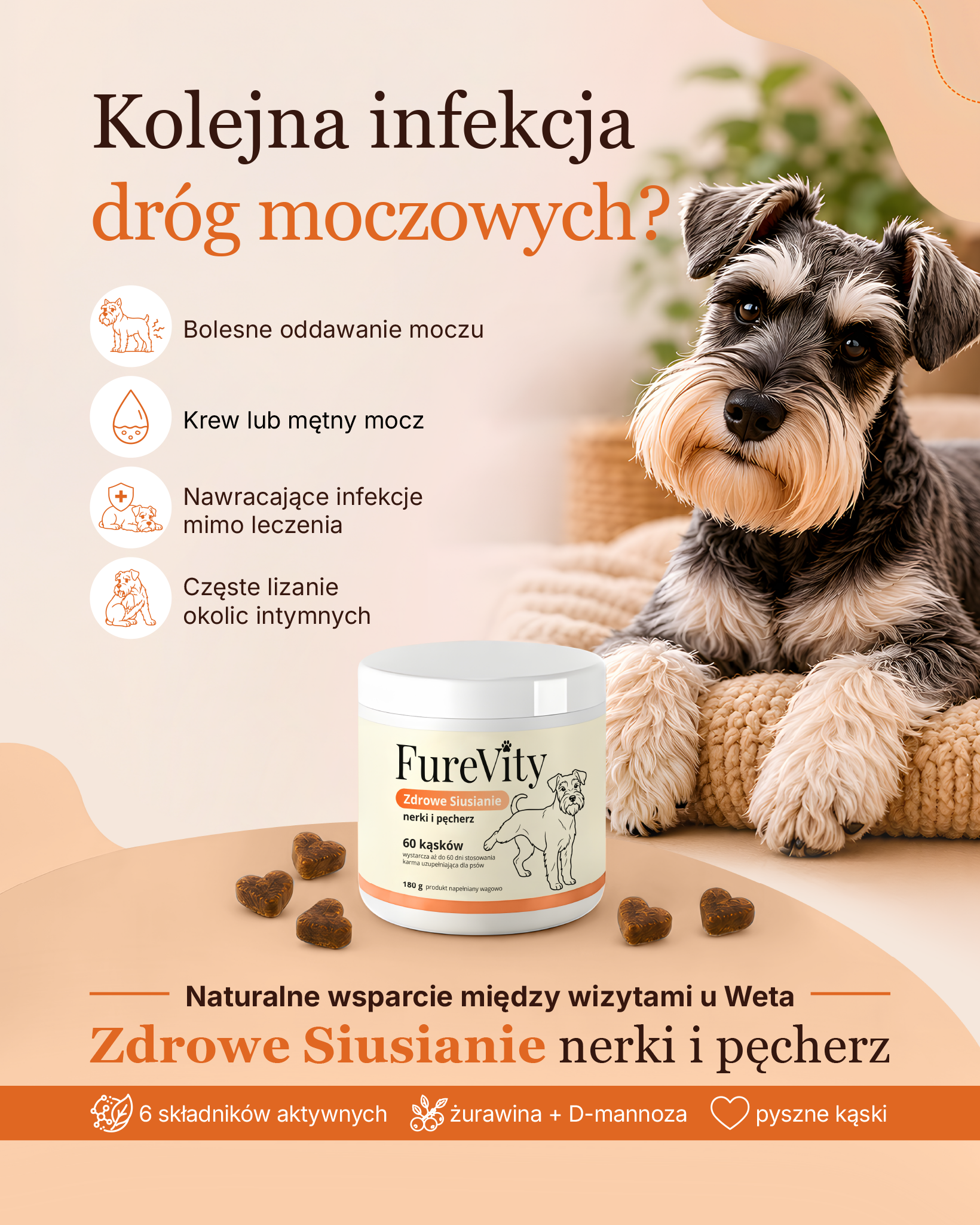 Zdrowe Siusianie - nerki i pęcherz - 60 kąsków