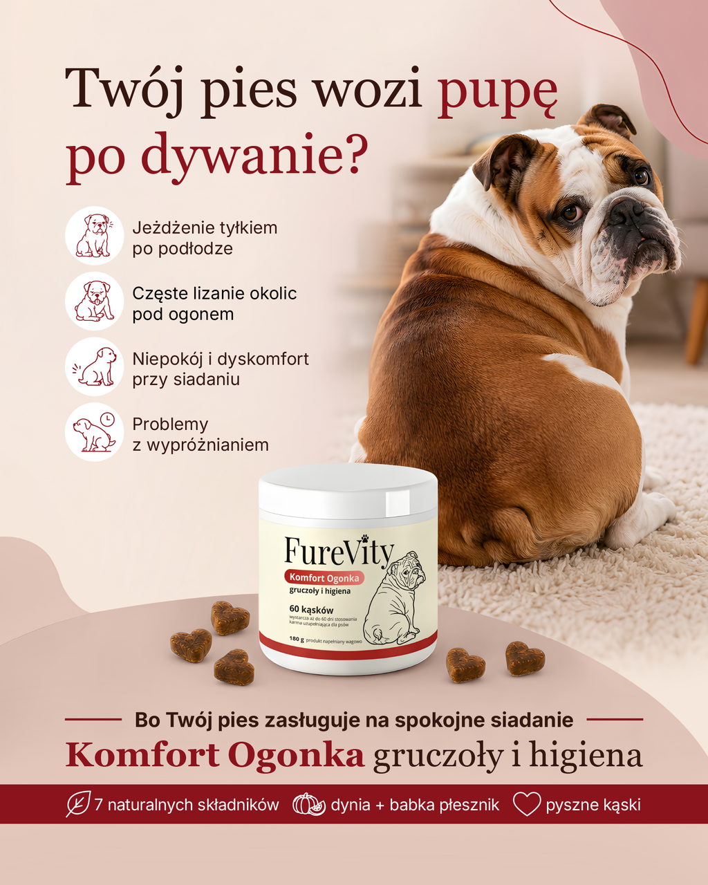 Komfort Ogonka - gruczoły i higiena - 60 kąsków