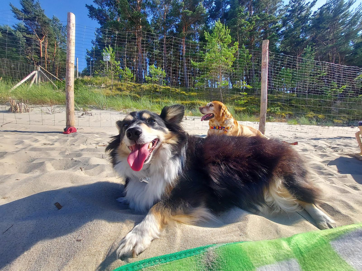 Felek i Rysiu na plaży