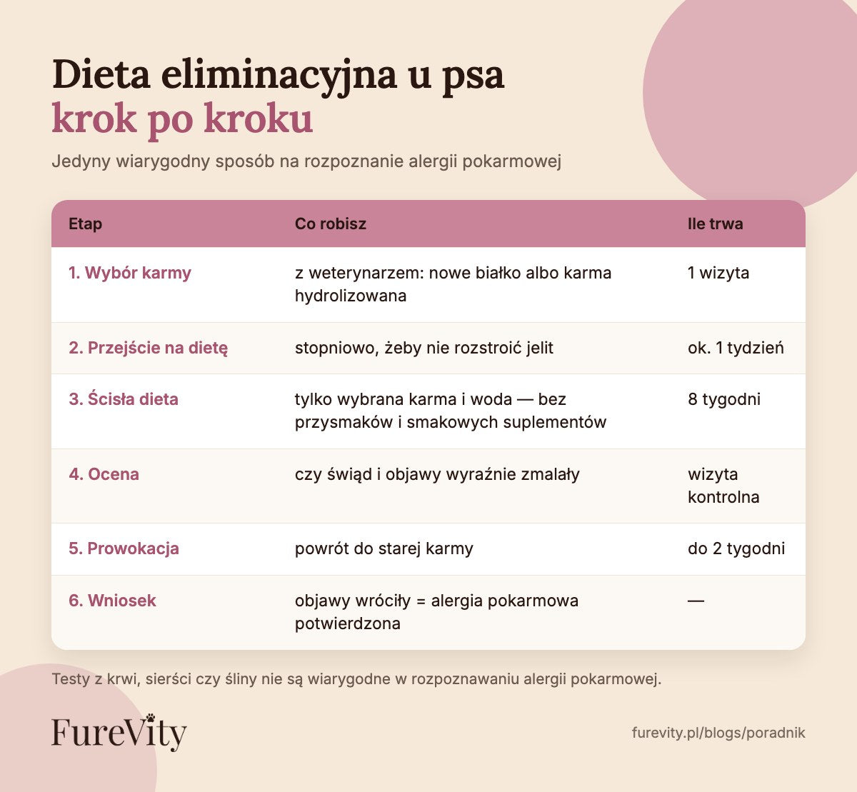 Dieta eliminacyjna u psa krok po kroku: wybór karmy, 8 tygodni ścisłej diety, ocena i prowokacja starą karmą