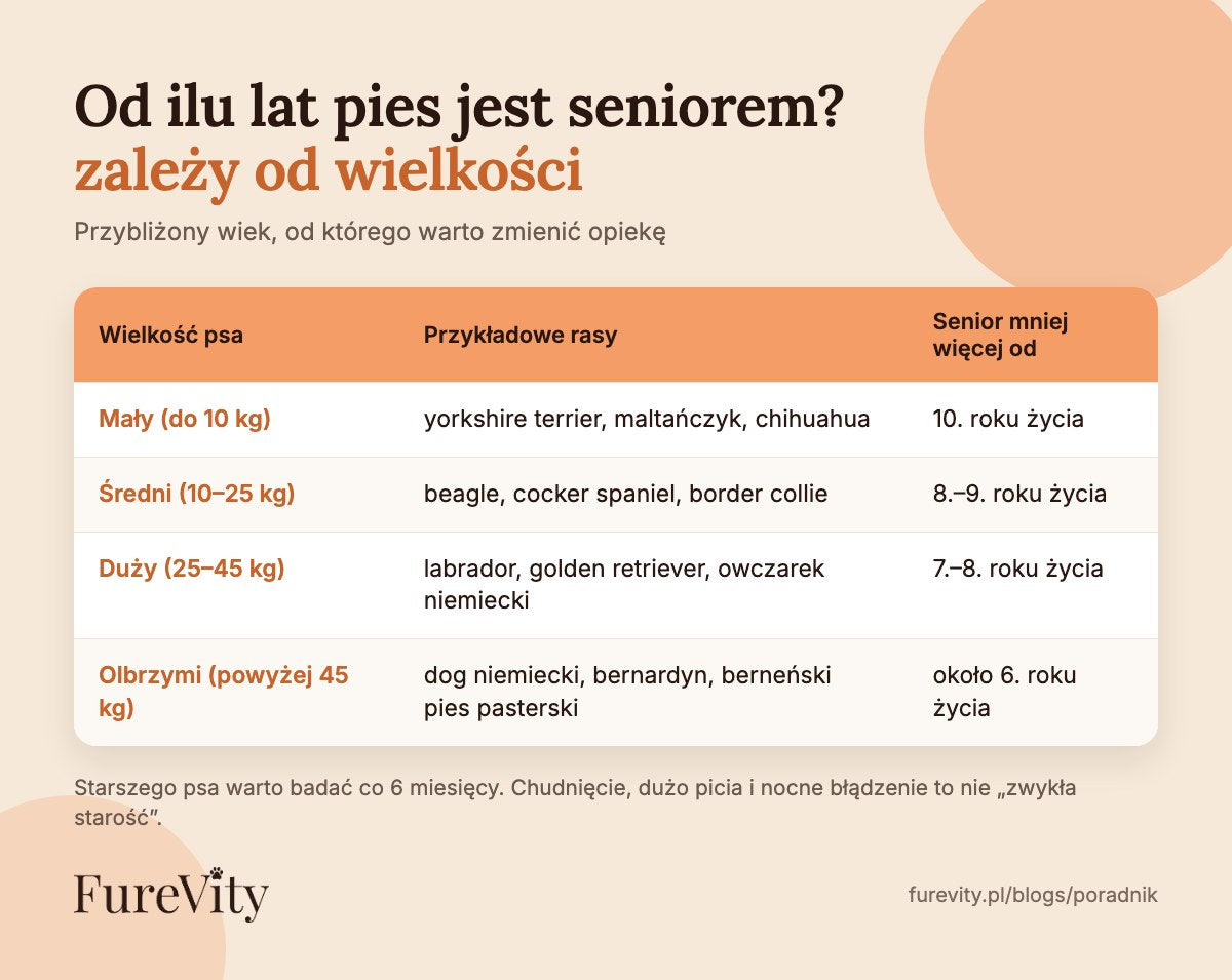 Od ilu lat pies jest seniorem: mały od 10. roku, średni od 8.–9., duży od 7.–8., olbrzymi około 6. roku życia