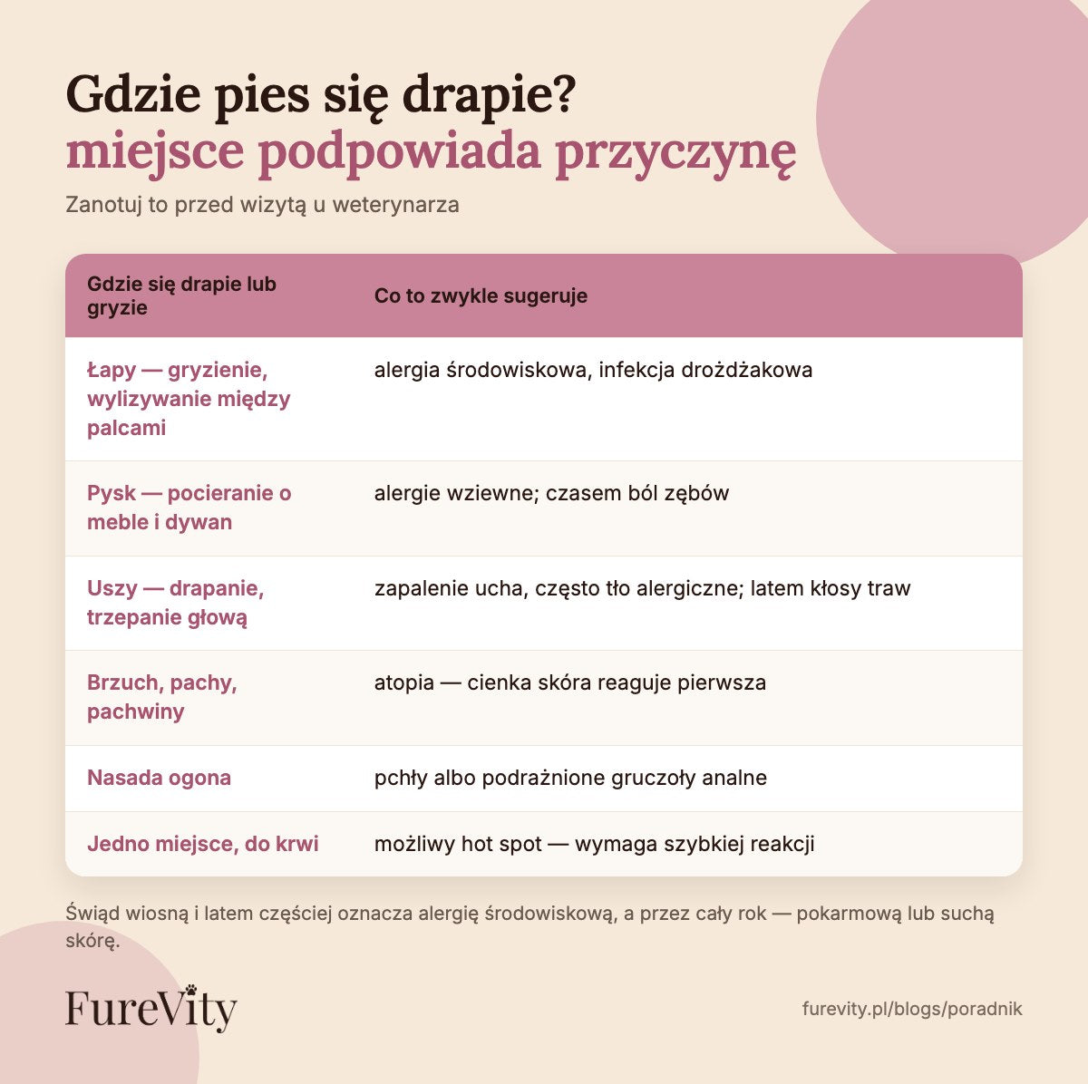 Gdzie pies się drapie i co to oznacza: łapy, pysk, uszy, brzuch, nasada ogona, hot spot